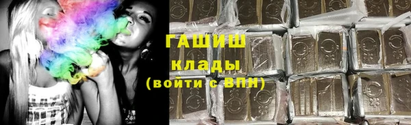 шишки Новодвинск